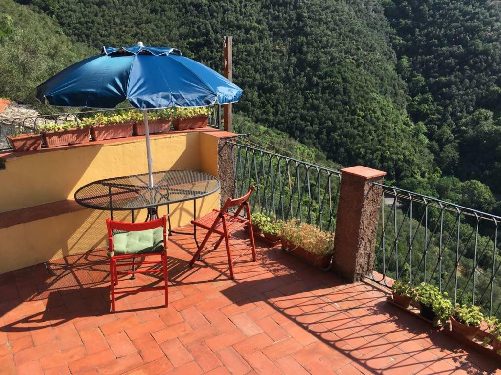 Cinqueterre - Terrace And Beautiful View Apartman Levanto Kültér fotó