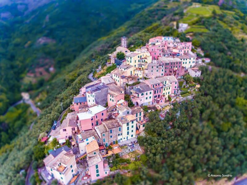 Cinqueterre - Terrace And Beautiful View Apartman Levanto Kültér fotó